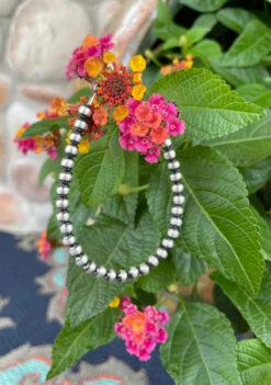 Desert Navajo Pearl Bracelet -Western Fashion Clothing BB92774A 69B2 4FC3 83C5 A79EC26BF20B 1 105 c