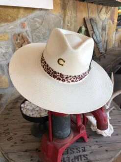 Charlie 1 Horse Heatseeker Hat 8 Charlie 1 Horse Heatseeker Hat -Western Fashion Clothing IMG 1935