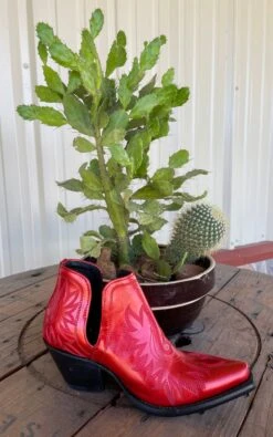 Queen Of Hearts Red Ankle Booties