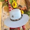 Charlie 1 Horse - Saguaro Hat In Baby Blue -Western Fashion Clothing IMG 2505