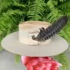 AHC She’s A Wild Card Hat -Western Fashion Clothing image 107efdc8 03ee 4bcd 8b1b c4b9b6dff920