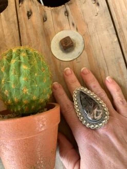 Ring Of Fire Squash Set -Western Fashion Clothing image a7c61c5a e9c5 4d09 af66 a092fd4e495b 1