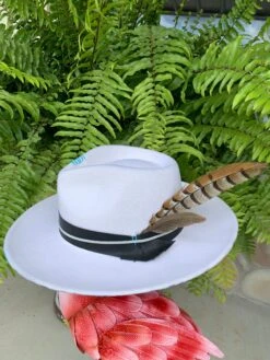 Shag & Gunn Hat Collection -Western Fashion Clothing image d990bc35 17c6 4cf5 b65e b146be078c71 1